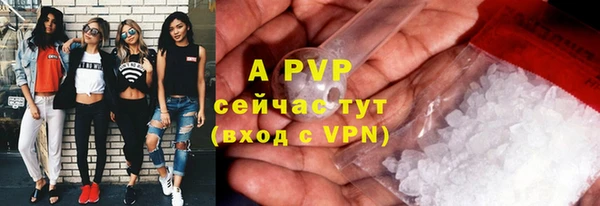 эйфоретик Зерноград