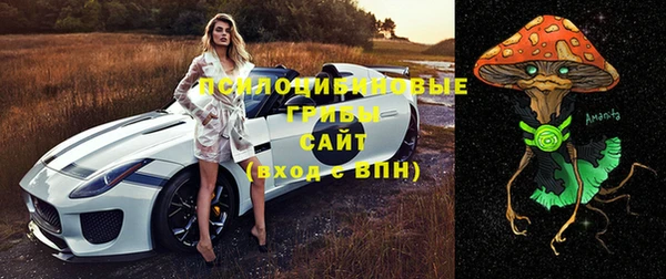 эйфоретик Зерноград