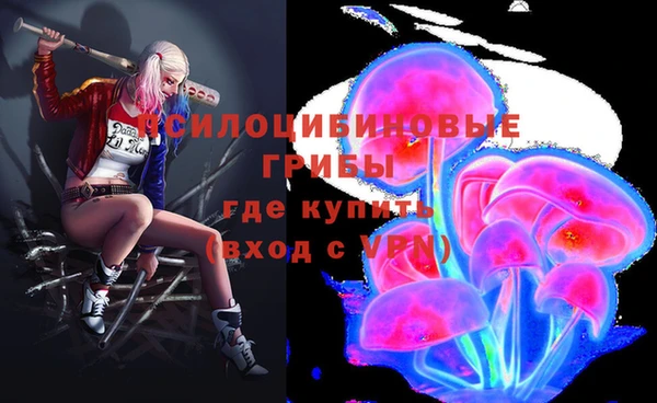 эйфоретик Зерноград