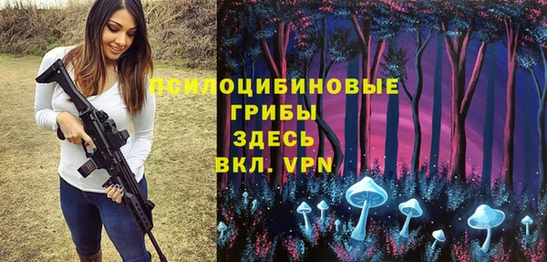 эйфоретик Зерноград