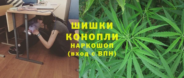 эйфоретик Зерноград
