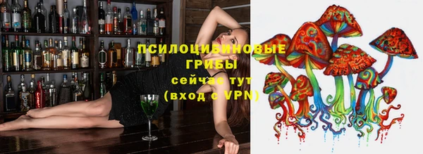 ГАЛЛЮЦИНОГЕННЫЕ ГРИБЫ Зеленокумск