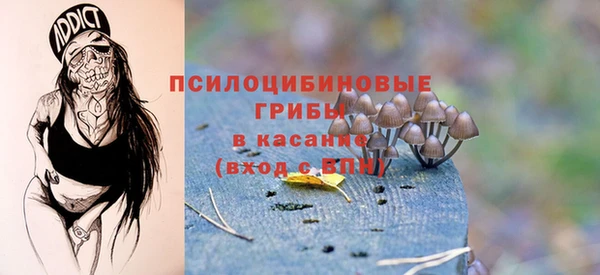 скорость Зеленодольск