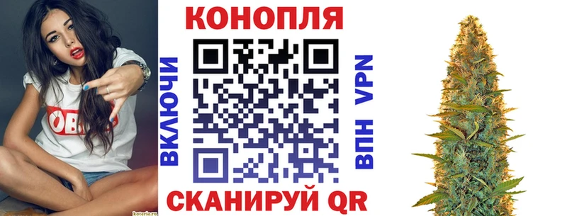 Каннабис OG Kush Нефтекамск